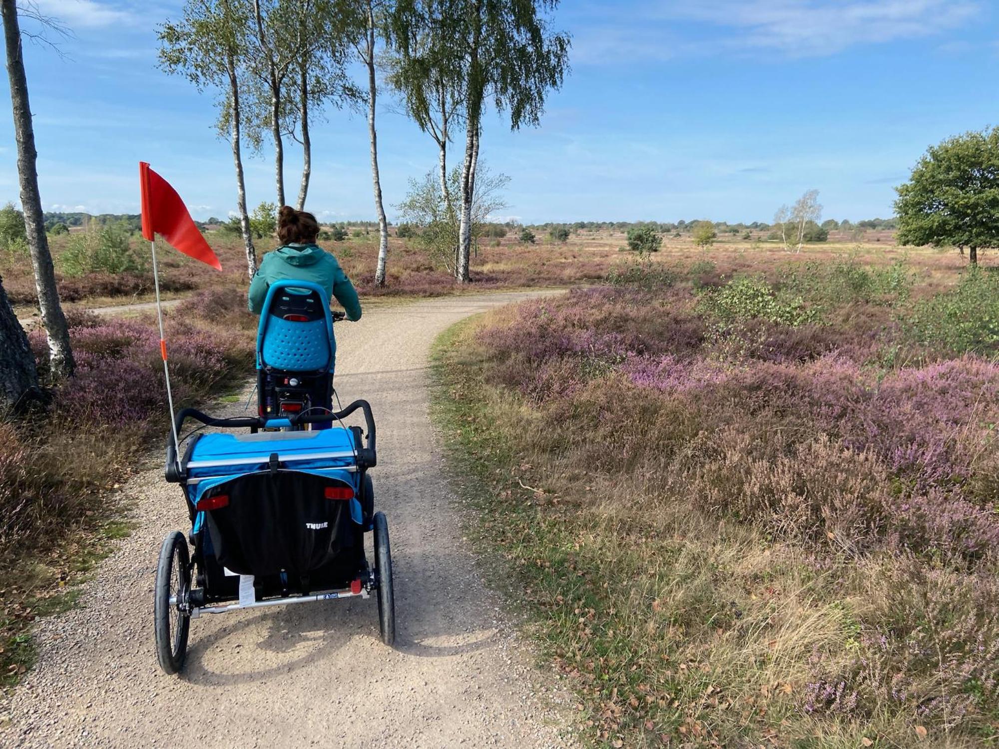 Vakantiehuis Vliegend Hert Veluwe Nunspeet Esterno foto